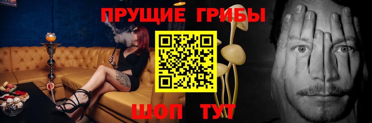 Ейск  Галлюциногенные грибы Psilocybe  Вход с VPN 